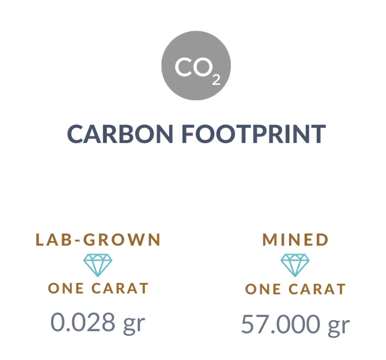 Carbon Footprint